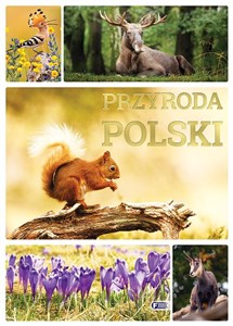 Picture of Przyroda Polski