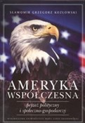 Książka : Ameryka ws... - Grzegorz Kozłowski