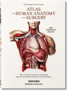 Obrazek Atlas of Human Anatomy and Surgery
