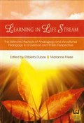 Learning i... - Elżbieta Dubas, Marianne Friese -  books from Poland