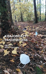 Picture of Krajobrazy pandemiczne
