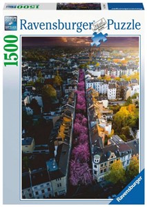 Picture of Puzzle 2D 1500 Bonn Niemcy 17104