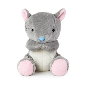 Obrazek Przyjaciel niebieskiego noska Wiewiórka Bolt