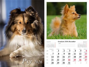 Obrazek Kalendarz 2026 ścienny 7-k Psy