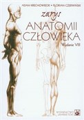 Zarys anat... - Adam Krechowiecki, Florian Czerwiński -  books in polish 