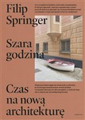 polish book : Szara godz... - Filip Springer