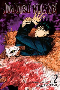 Obrazek Jujutsu Kaisen, Vol. 2