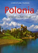 Polonia we... - Wojciech Giełżyński -  Polish Bookstore 
