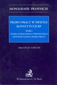 Prawo prac... - Arkadiusz Sobczyk -  books from Poland