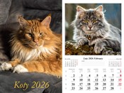 Kalendarz ... -  Książka z wysyłką do UK