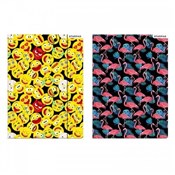 polish book : Teczka z g...