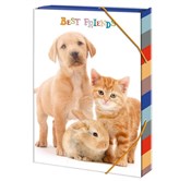 Książka : Teczka szk...