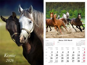 Picture of Kalendarz 2026 ścienny 7-k Konie
