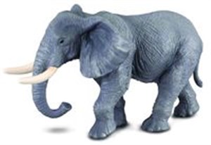 Obrazek Słoń afrykański XL