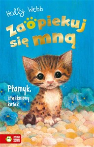 Picture of Zaopiekuj się mną Płomyk, stęskniony kotek