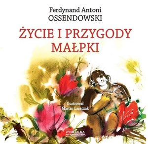 Picture of Życie i przygody małpki