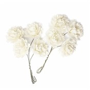 Kwiaty pap... -  foreign books in polish 