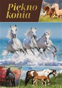 polish book : Piękno kon... - Opracowanie Zbiorowe