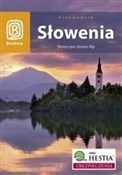 Zobacz : Słowenia S... - Magdalena Dobrzańska-Bzowska, Krzysztof Bzowski
