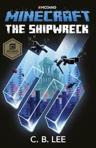 Picture of Minecraft The Shipwreck