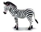 polish book : Zebra