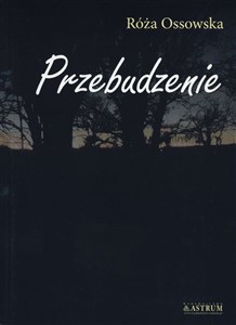 Picture of Przebudzenie
