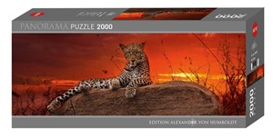 Picture of Puzzle 2000 Gepard (panorama)