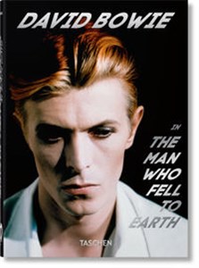 Picture of David Bowie The Man Who Fell to Earth