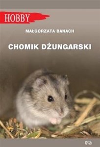 Obrazek Chomik Dżungarski