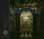 polish book : Kopalnia S... - Paweł Zechenter