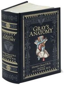 Obrazek Gray's Anatomy: Barnes & Noble Collectible Editions