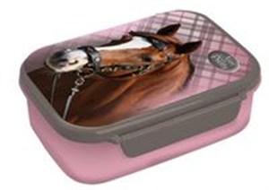 Picture of Pojemnik na śniadanie