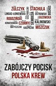 Polska książka : Zabójczy p... - Jakub Żulczyk, Alek Rogoziński, Agnieszka Lingas-Łoniewska