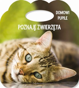 Picture of Poznaję zwierzęta Domowe pupile Książka z uszkiem