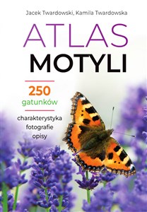 Obrazek Atlas motyli 250 gatunków