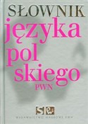 Słownik ję... - Lidia Drabik, Aleksandra Kubiak-Sokół -  books in polish 