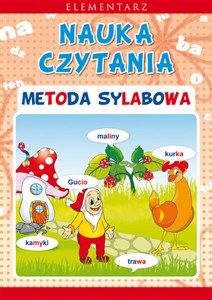 Picture of Elementarz Nauka czytania Metoda sylabowa