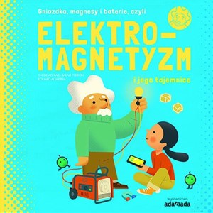 Obrazek Elektromagnetyzm i jego tajemnice