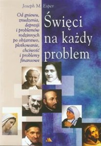 Picture of Święci na każdy problem