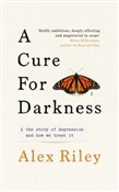 polish book : A Cure for... - Alex Riley