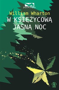 Obrazek W księżycową jasną noc