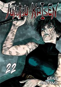 Picture of Jujutsu Kaisen. Tom 22