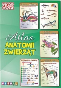 Picture of Ilustrowany atlas szkolny. Atlas anatomii zwierząt