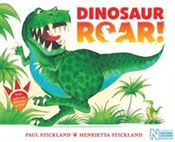 Polska książka : Dinosaur R... - Henrietta Stickland