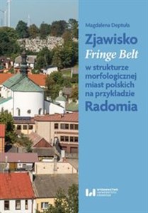 Obrazek Zjawisko Fringe Belt w strukturze morfologicznej miast polskich na przykładzie Radomia