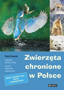 Picture of Zwierzęta chronione w Polsce