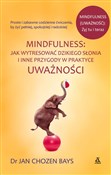 Mindfulnes... - Chozen Jan Bays - Ksiegarnia w UK