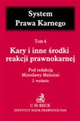 polish book : Kary i inn...