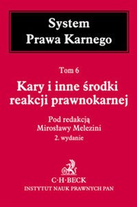 Picture of Kary i inne środki reakcji prawnokarnej System Prawa Karnego Tom 6