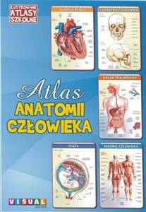 Obrazek Ilustrowany atlas szkolny.Atlas anatomii człowieka